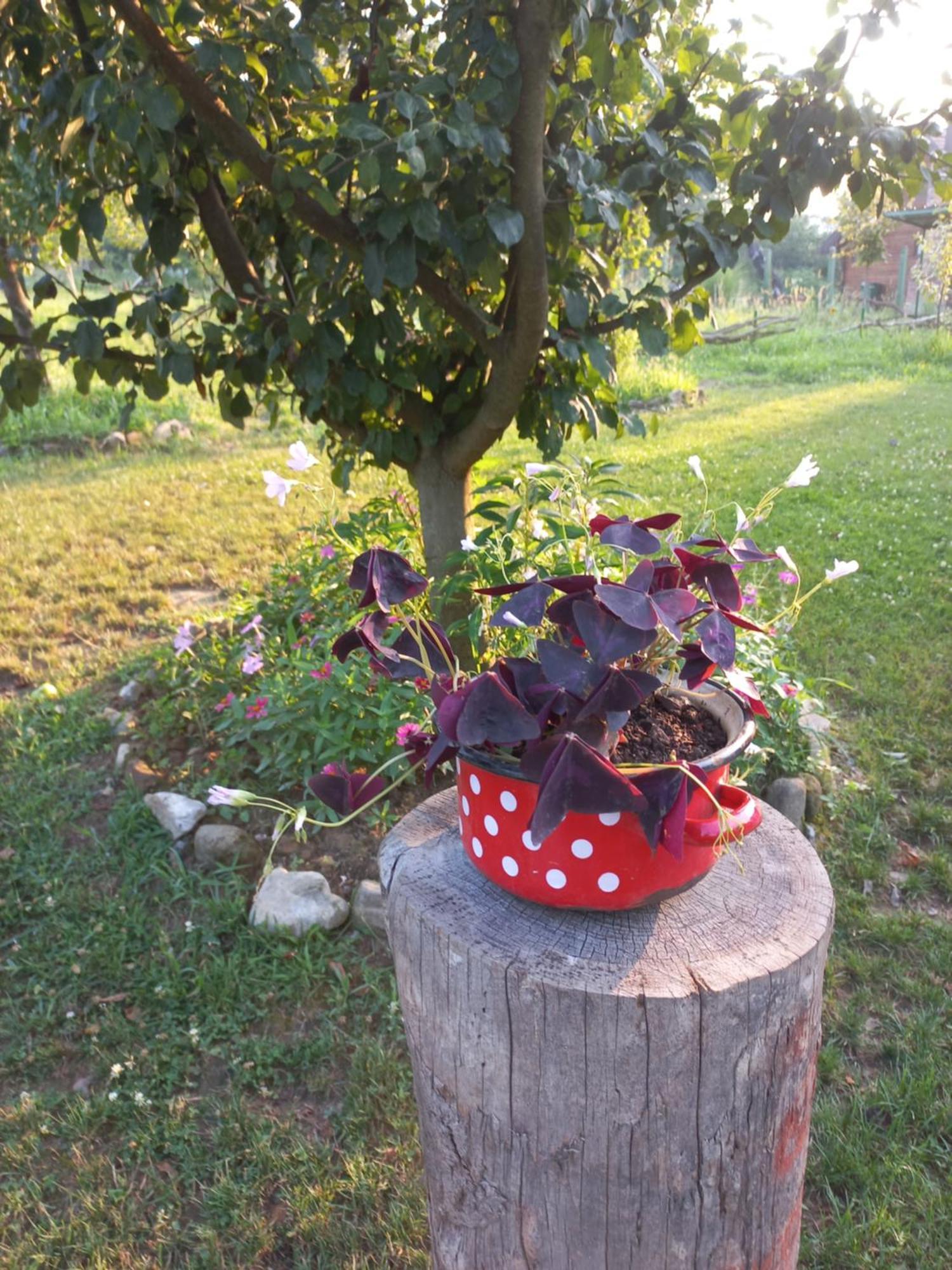 Villa Magaze De Luxe Gradacac Esterno foto