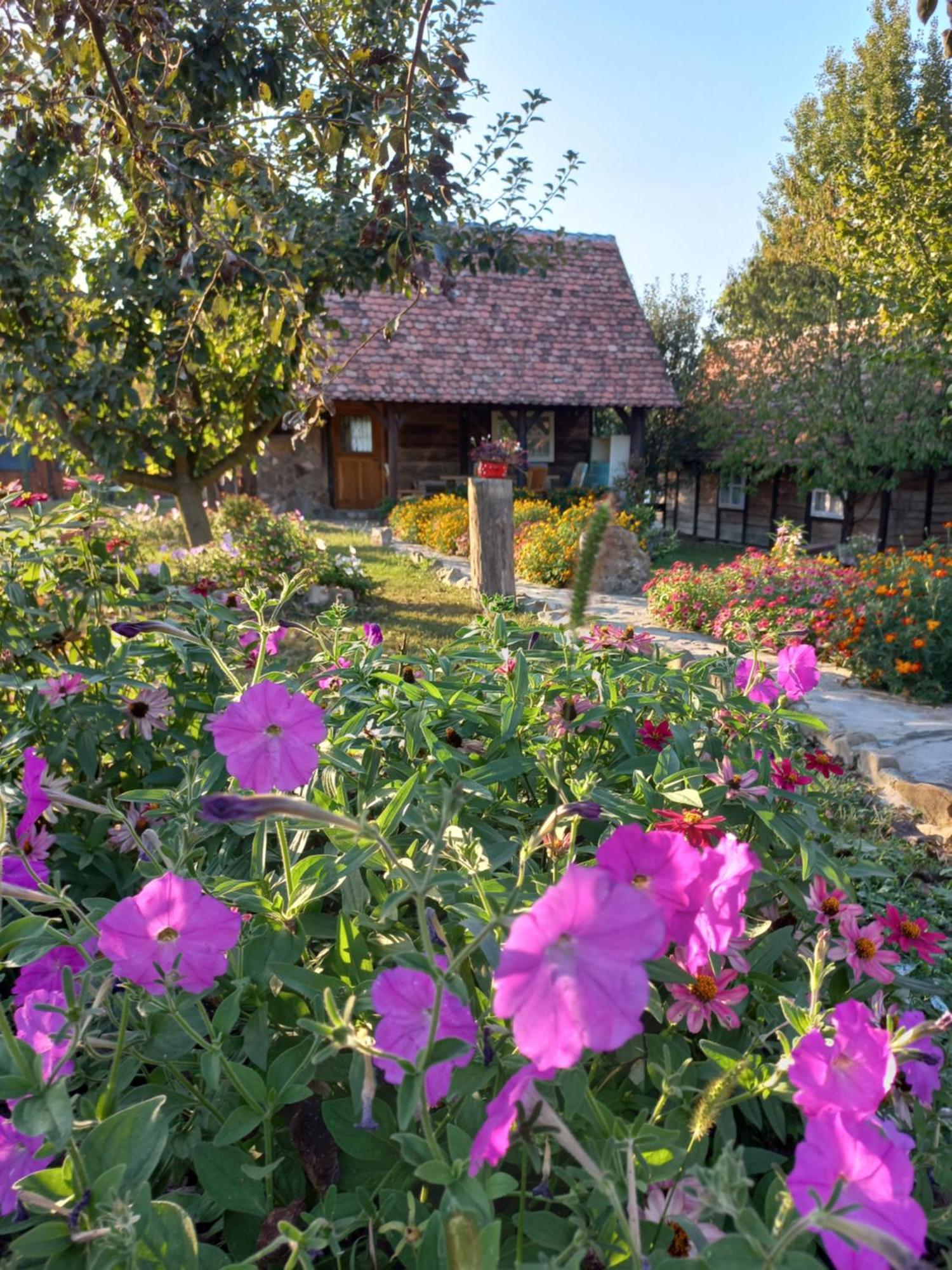 Villa Magaze De Luxe Gradacac Esterno foto